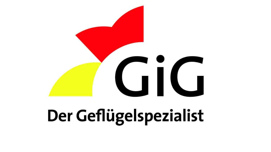 GiG Logo