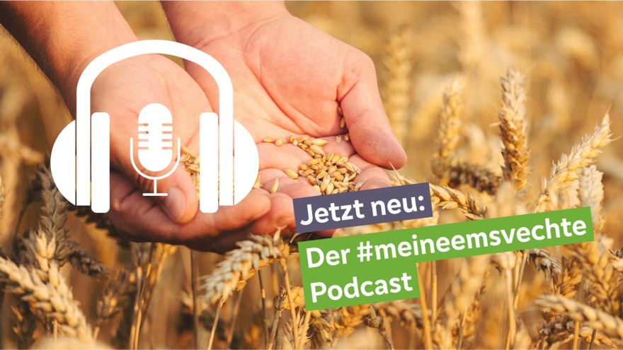 Bild Podcast