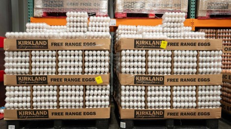 Rangliste Eierproduzenten