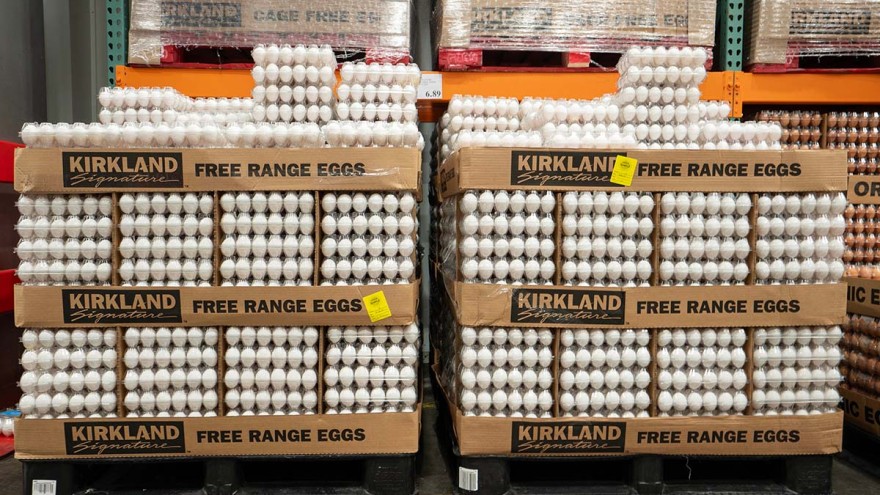 Rangliste Eierproduzenten