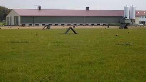 Auslauf mit einigen Hütten