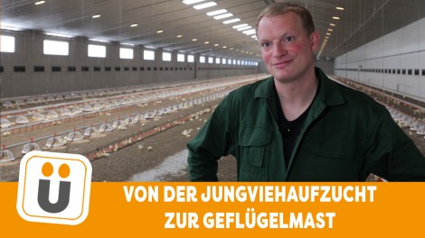 Ein Mann im Hähnchenstall Big Dutchman
