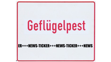 Geflügelpest Newsticker