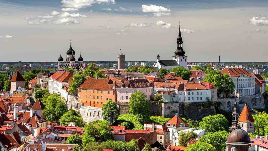 Tallinn Estland Legehenne