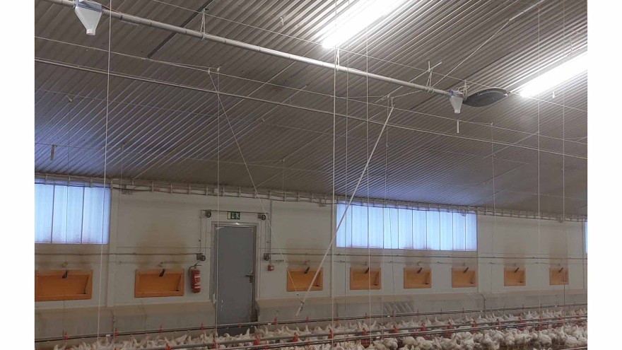 EuroTier Beschäftigungsmaterial