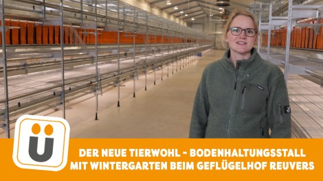 Anne Reuvers