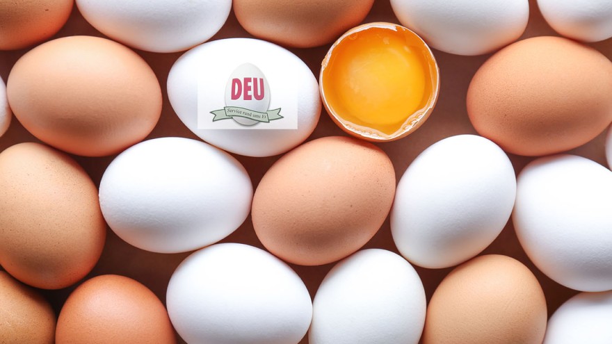 Eier DEU Kopie