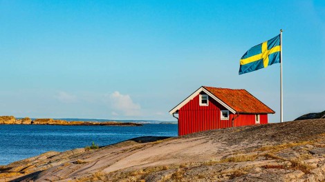 Vogelgrippe Schweden