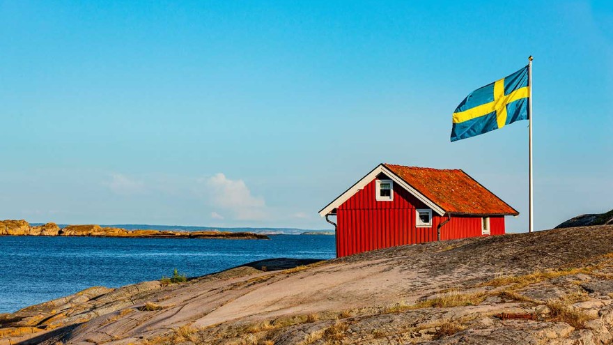 Vogelgrippe Schweden