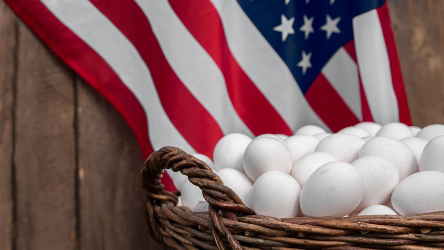 usa eier