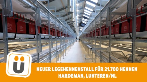Stall Hardeman