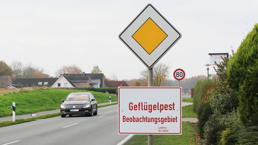 vogelgrippe