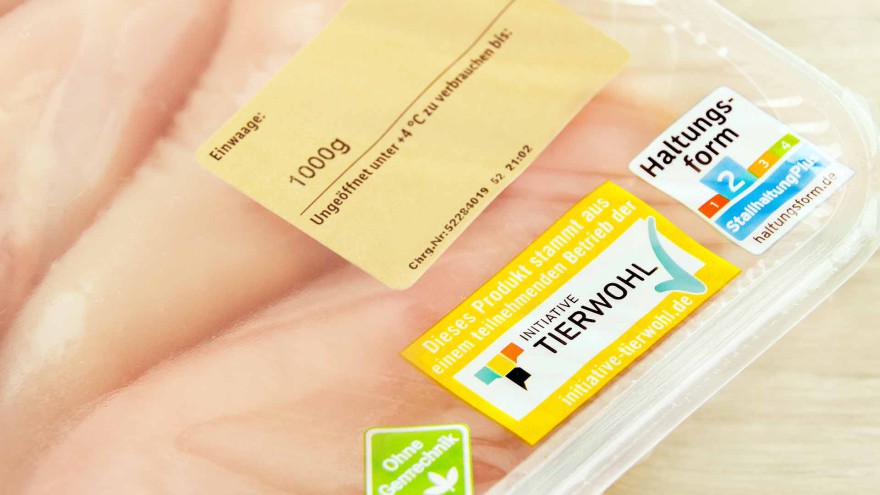 Hähnchen Verband
