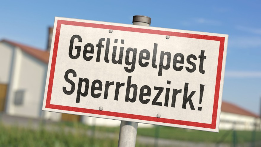 Geflügelpest Kürzungen