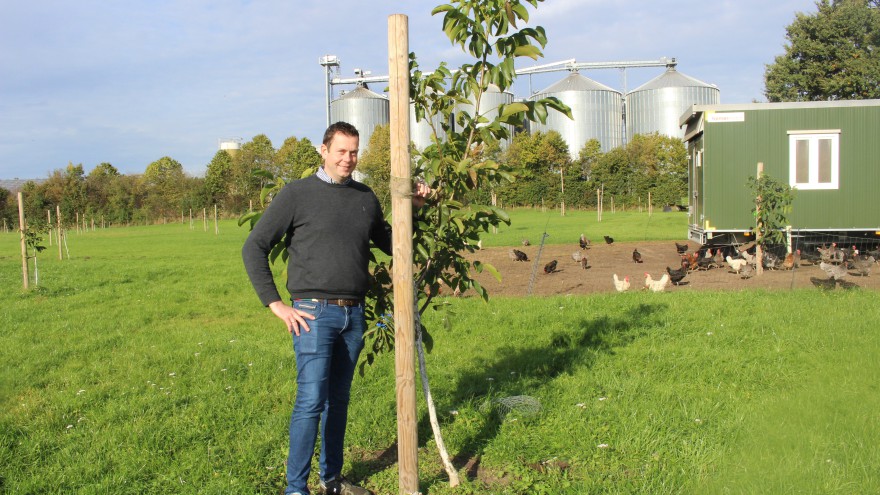 Benjamin Weil Nussverarbeitung