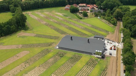 Beringmeier Agroforst