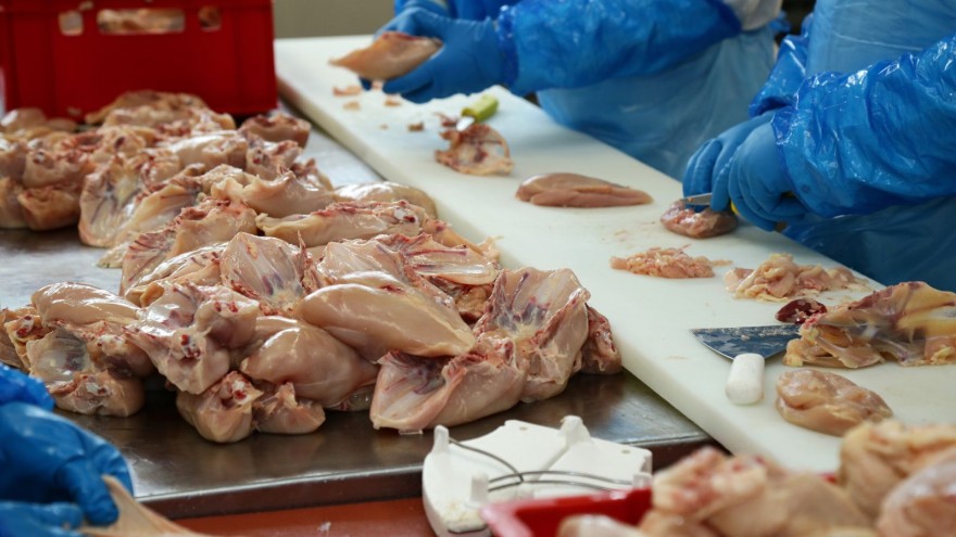 hähnchenfleisch