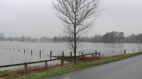 Versicherer Naturschäden