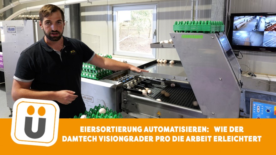 Damtech