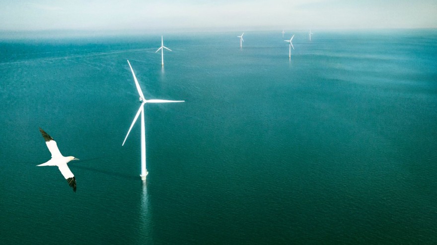 Windpark
