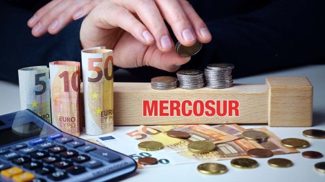Geflügel Mercosur