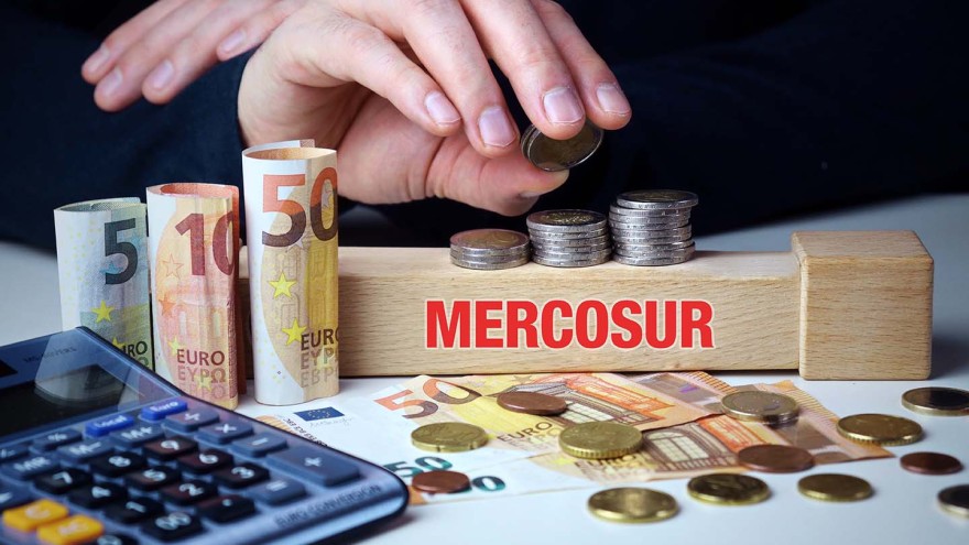 Geflügel Mercosur