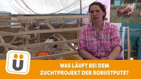 Robustpute Christine Bremer