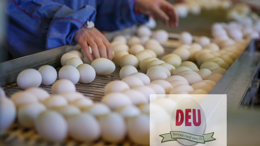 biolegehennenhaltung