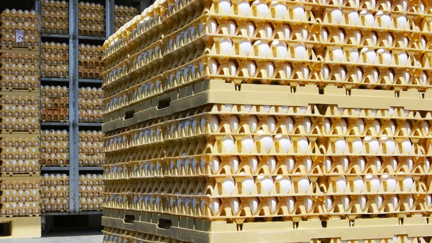 Eier transportieren