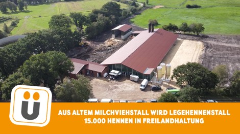 Legehennenauslauf
