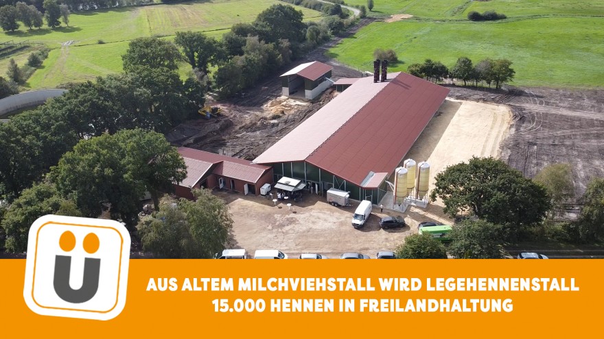 Legehennenauslauf