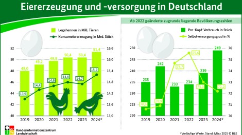 Infografik versorgungsbilanz