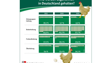 bzl infografik