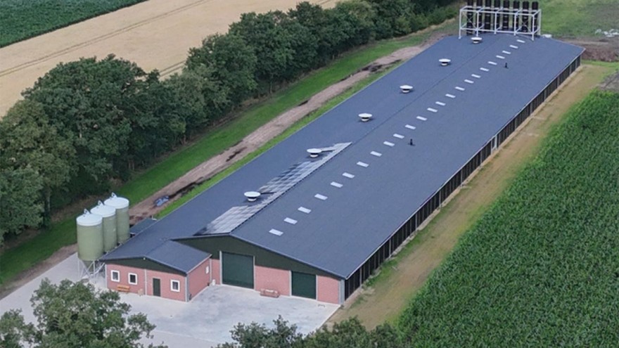 Masthähnchenstall