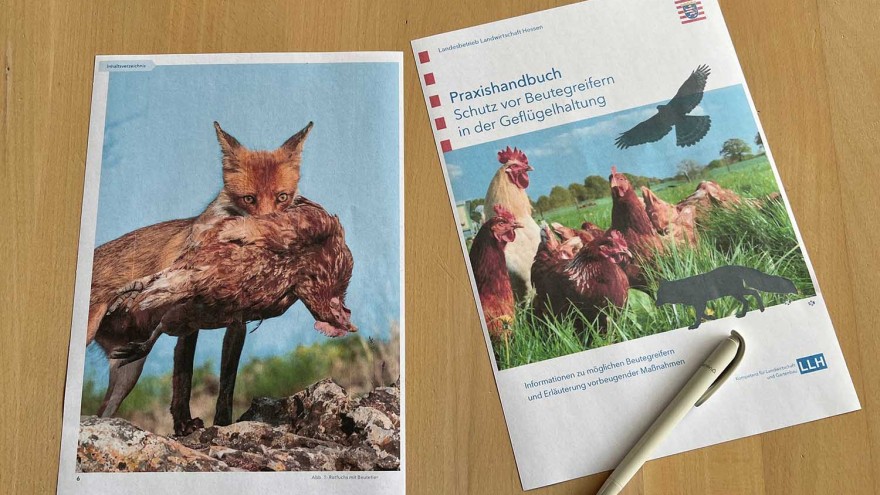 Praxishandbuch Beutegreifer
