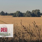 Marktbericht