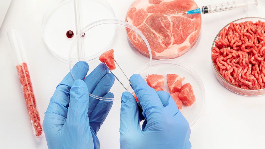 Laborfleisch