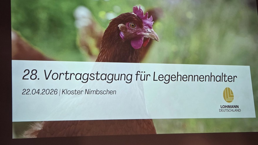 lohmann tagung