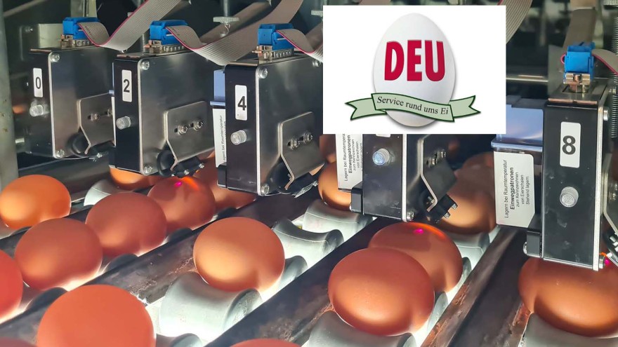 eier packstelle