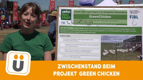 Green Chicken