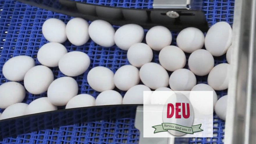 DEU Marktbericht