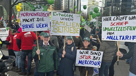 proteste brüssel