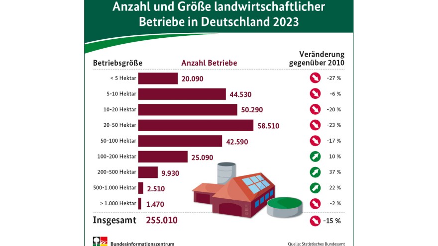 Btriebsgrößen Veränderung