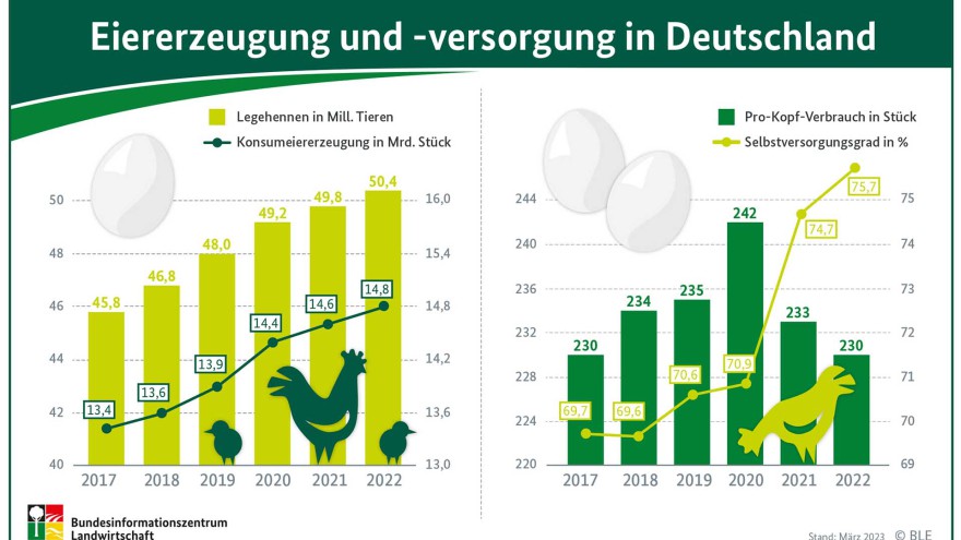 Infografik