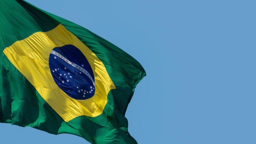 Brasilien Vogelgrippe