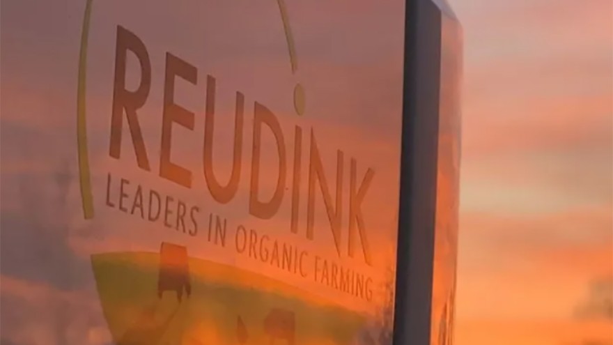 Reudink
