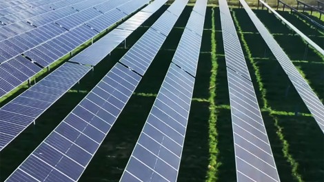 Agri PV