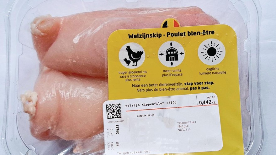 belgien hähnchen