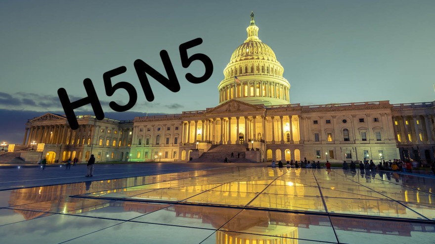 h5h5 im bundesstaat washington