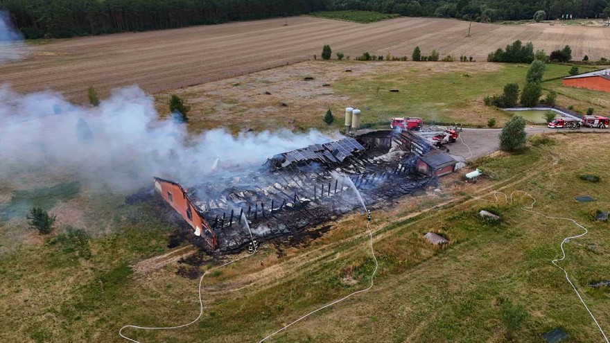 Hühnerstall Brand Bresegart